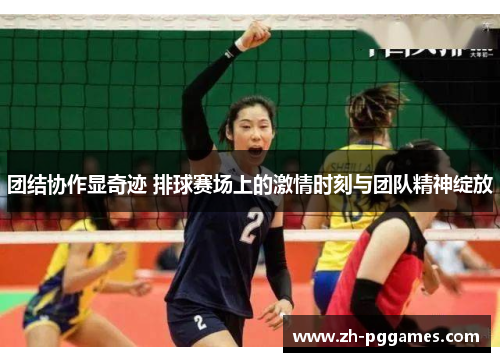 团结协作显奇迹 排球赛场上的激情时刻与团队精神绽放