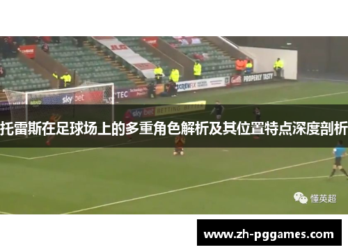 托雷斯在足球场上的多重角色解析及其位置特点深度剖析