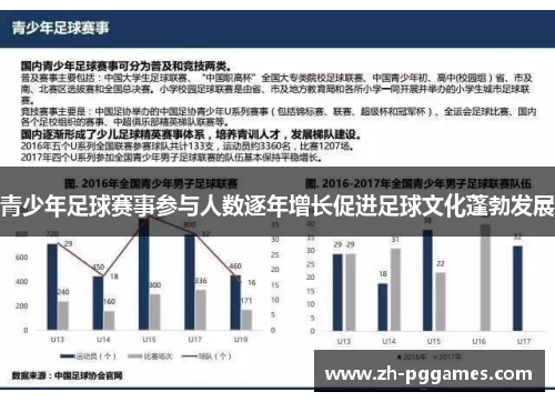 青少年足球赛事参与人数逐年增长促进足球文化蓬勃发展
