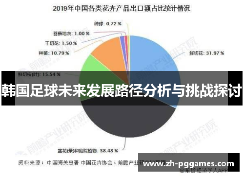 韩国足球未来发展路径分析与挑战探讨