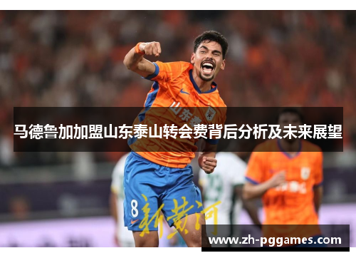 马德鲁加加盟山东泰山转会费背后分析及未来展望