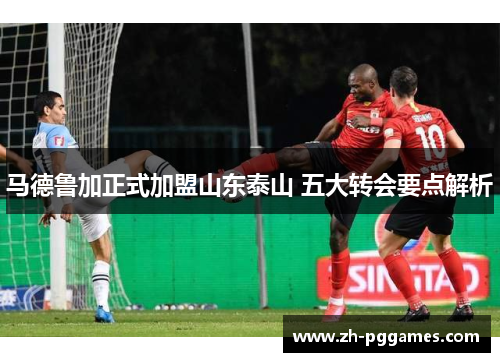 马德鲁加正式加盟山东泰山 五大转会要点解析
