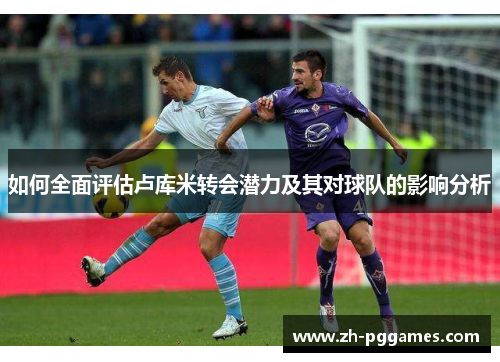 如何全面评估卢库米转会潜力及其对球队的影响分析
