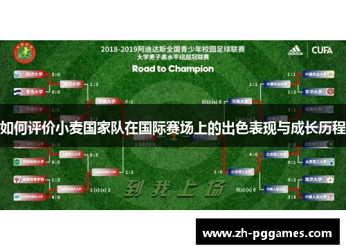 如何评价小麦国家队在国际赛场上的出色表现与成长历程